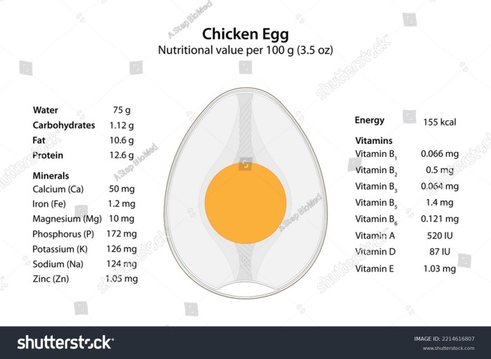 Perbandingan Nutrisi Telur Ayam Kampung Dan Ayam Petelur